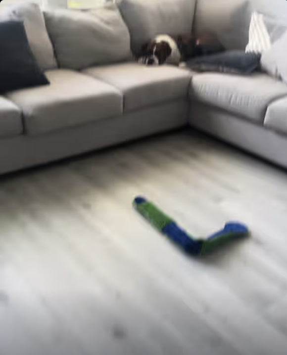 Frenchie Yoda - this is my soulmate!